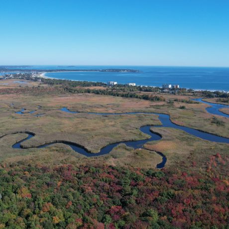 Aerial view trees, creeks, ocean and fields near Seacoast Resort