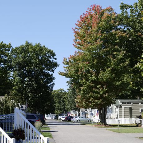 Small Avenue at Seacoast Resort with homes and big trees on either side