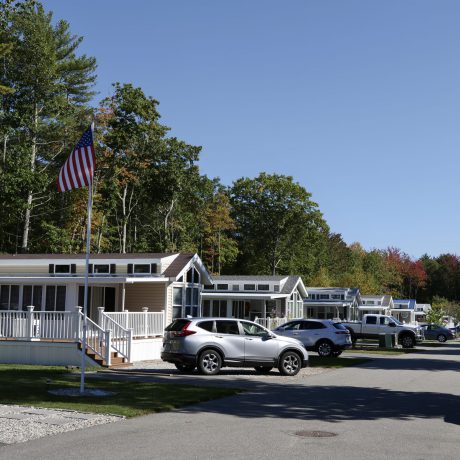 Small Avenue at Seacoast Resort with homes and big trees on either side
