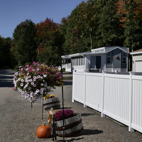 Flowers by a white wooden fence